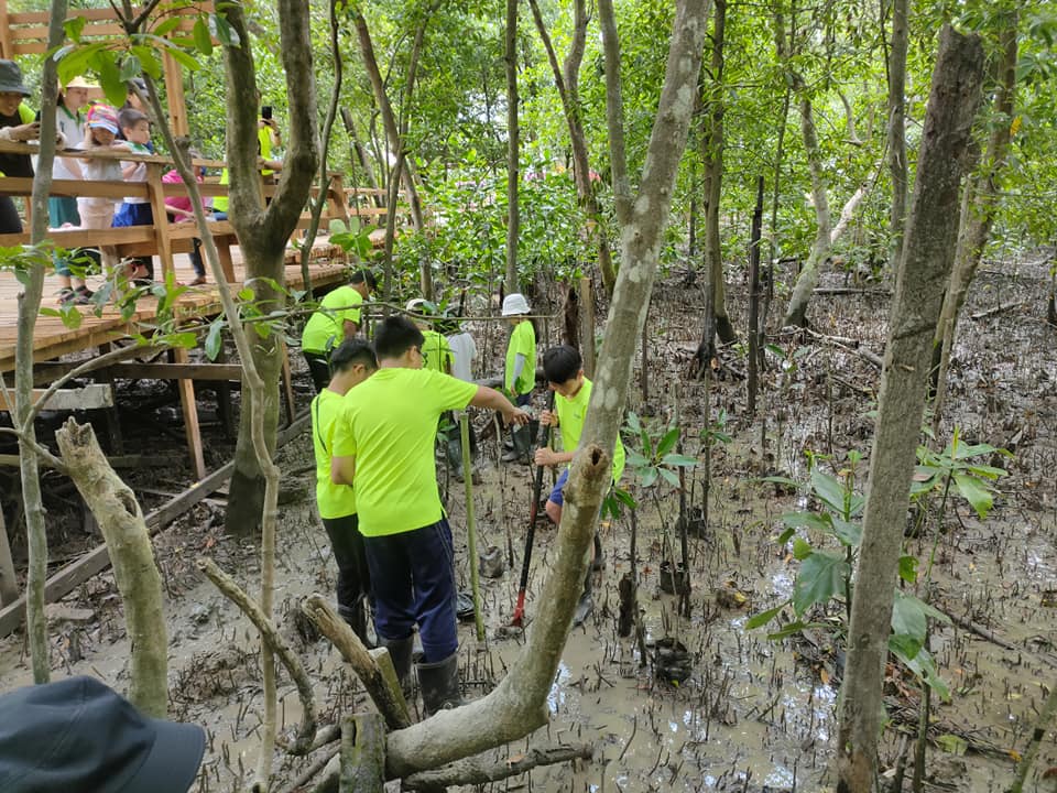 TAMAN REKREASI PAYA BAKAU SIJANGKANG