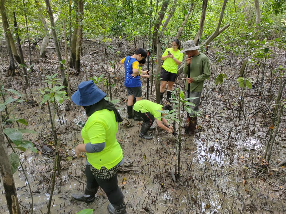 TAMAN REKREASI PAYA BAKAU SIJANGKANG