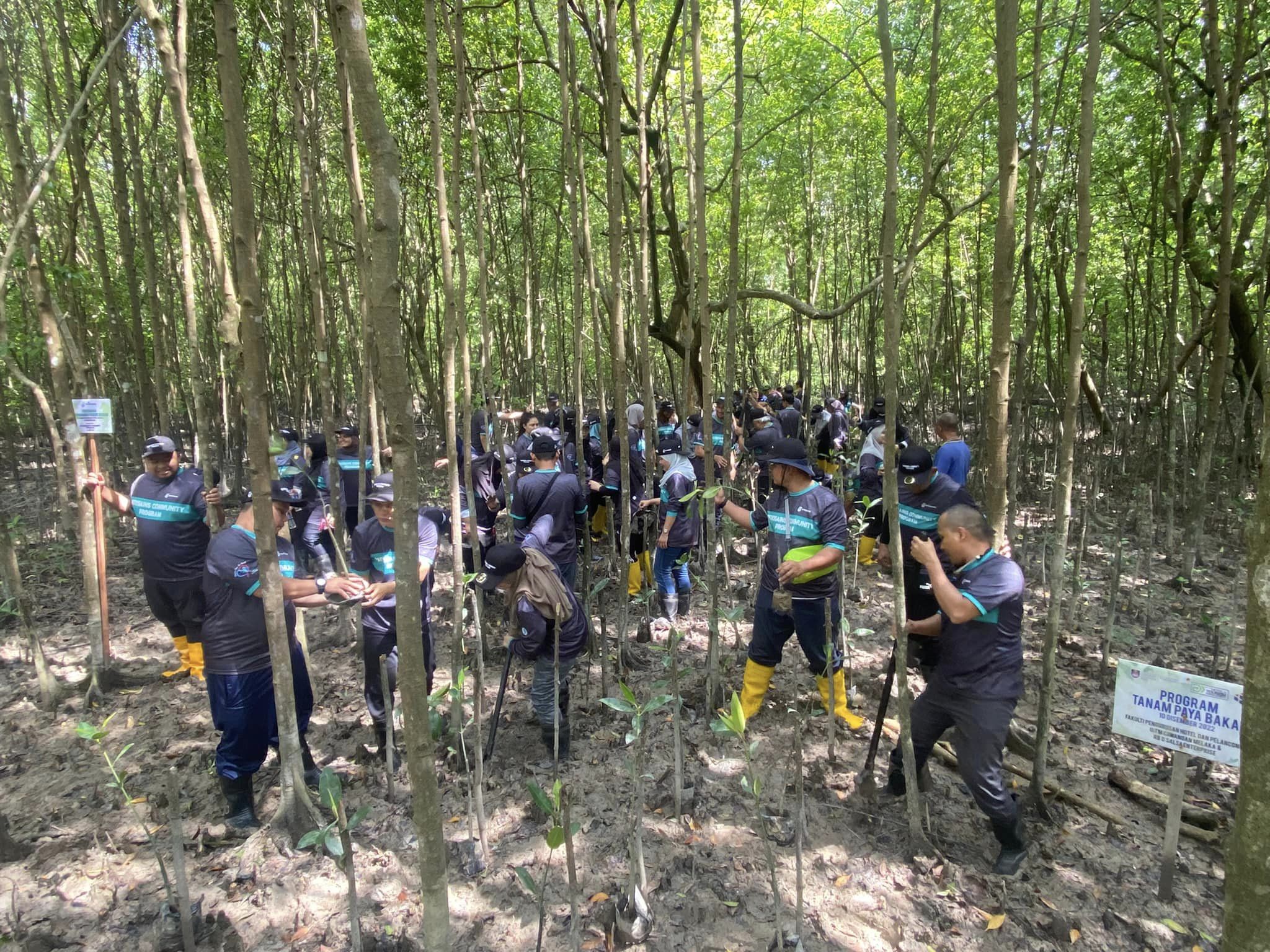 TAMAN REKREASI PAYA BAKAU SIJANGKANG