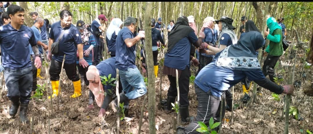 TAMAN REKREASI PAYA BAKAU SIJANGKANG