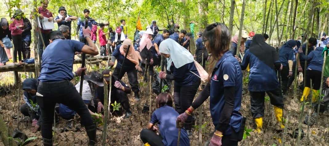 TAMAN REKREASI PAYA BAKAU SIJANGKANG